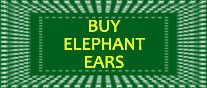 Buy Elephant Ears